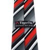 TigerTie Security Tie in Striped - Pre-tied with Elastic Band,
