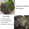FiveSeasonStuff 10 Gallon Potato Grow Bags Upgraded Heavy Duty Handles,