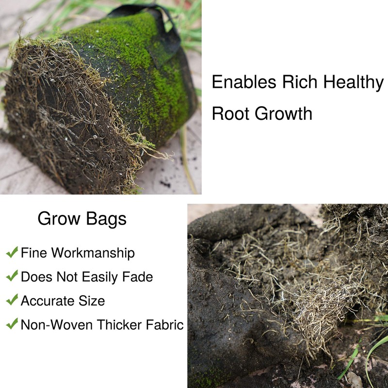 FiveSeasonStuff 10 Gallon Potato Grow Bags Upgraded Heavy Duty Handles,