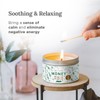 MAGNIFICENT 101 Magnificent 101 Money Financial Freedom Aromatherapy Candle ?