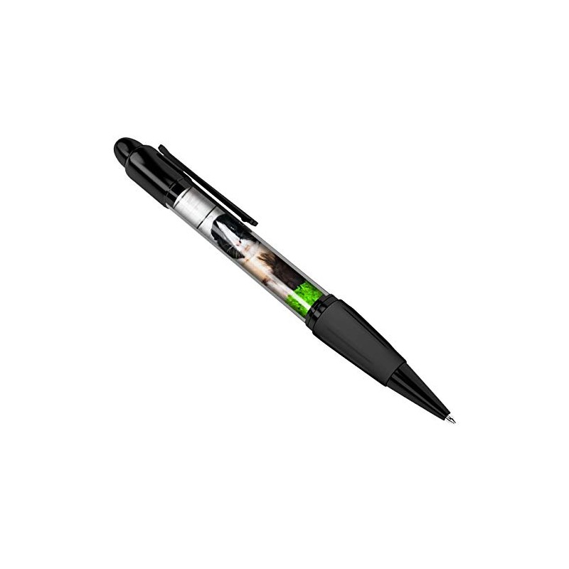Guinea Pig Black Ballpoint Pen Fluffy Pets Animals Adorable Funny