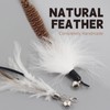SONGWAY Cat Wand Toys for Indoor Cats - Cat Feather