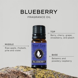 Blueberry Premium Grade Fragrance Oil - 10ml - Scented Oil