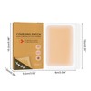 Body Coverage Perfector Invisible Concealer