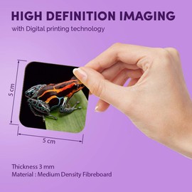 1 x Square MDF Fridge Magnet - Poison Dart Frog Rainforest Frogs 46141