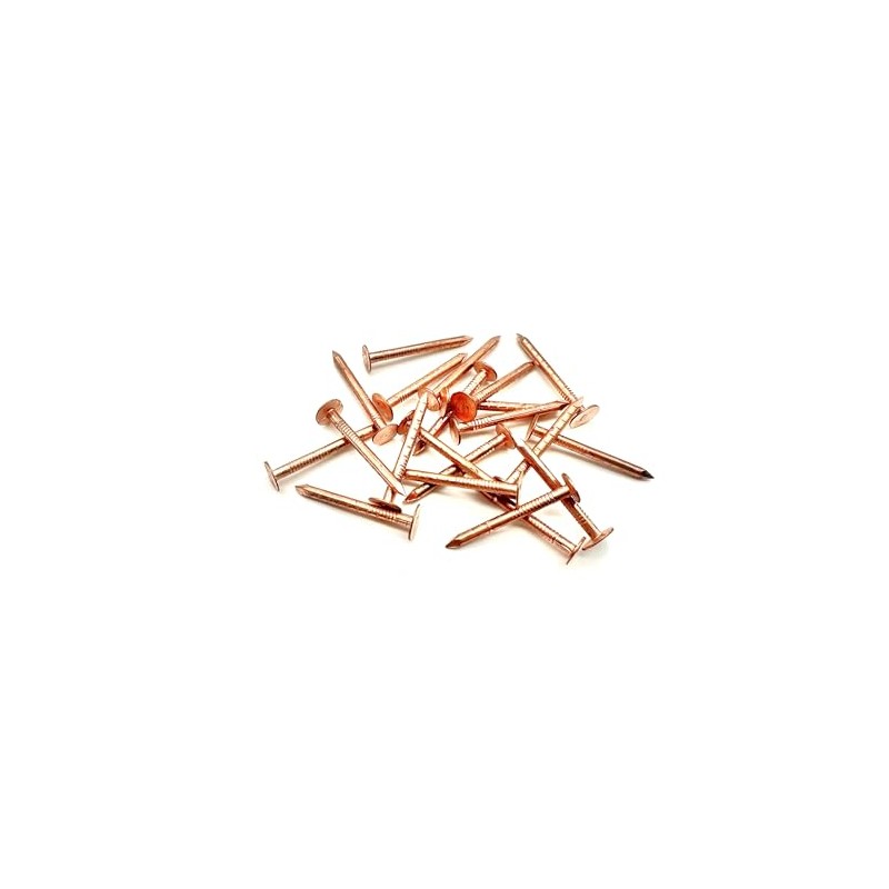 10 PCS Copper Clout Nails Roofing Slate Felt Nail, Tree