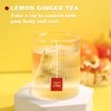 TEARELAE - Lemon Ginger Tea Bags, 70 Count - Natural