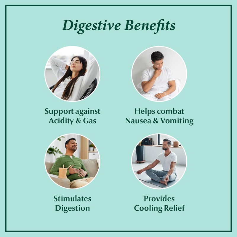 Dabur Pudin Hara Pearls - Daily Digestive Care Supplements for