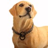 RUMYPET Black Dog Chain Collar 11mm/15mm/19mm Cuban Link Chain Dog