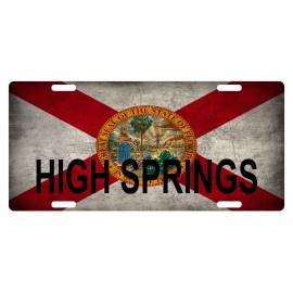 Fast Service Designs Florida State Flag License Plate Metal Sunshine State High Springs