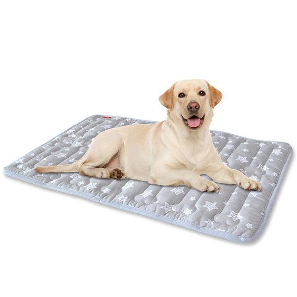 Dog Mat, Soft Bed Mat with Cute Prints, Anti-Slip Bottom