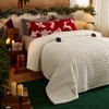 Bedsure Electric Blanket Queen Size - Quilted Winter Bedding of