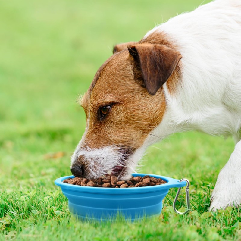 Rest-Eazzzy 2-Pack Silicone Collapsible Dog Bowls, BPA Free Dishwasher Safe,