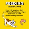 Temptations Creamy Puree Squeezable Lickable Wet Cat Treats with Salmon,