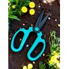 Meraki Floral Tools Garden Pruning Shears Scissors Carbon Steel Blades