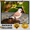 AceOrbit 5 Pcs 99.99% Pure Copper Bird Bath Disk Ornaments
