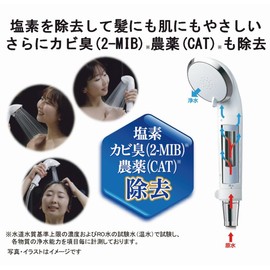 Toray Trevino Water Purification Shower "Treshower" Cartridge, Total of 2 Packs, RS54-AZ