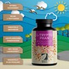 L-Tryptophan High Dose - 600 x L-Tryptophan Capsules - 500