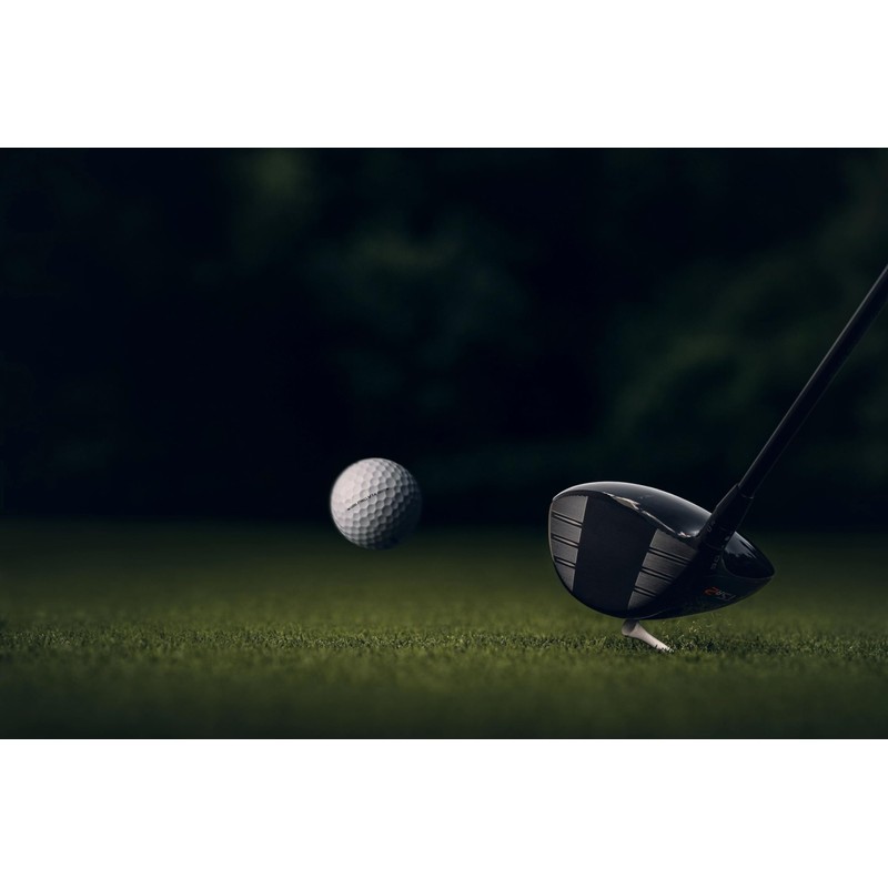 Titleist Pro V1x Golf Balls, White (One Dozen)