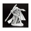 REAPER Elquin, High Elf Adventurer