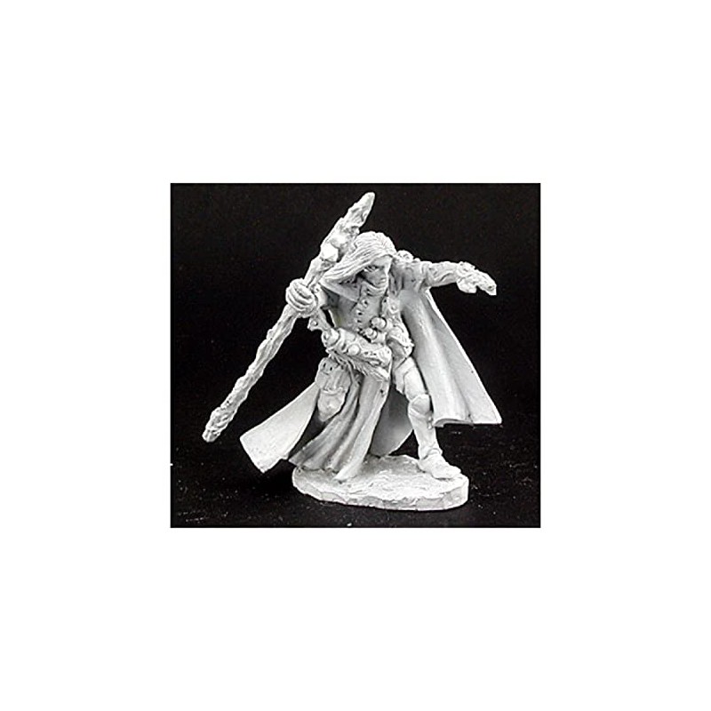 REAPER Elquin, High Elf Adventurer
