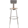 NPS 24" Adjustable Height Steel Stool with Backrest, Grey