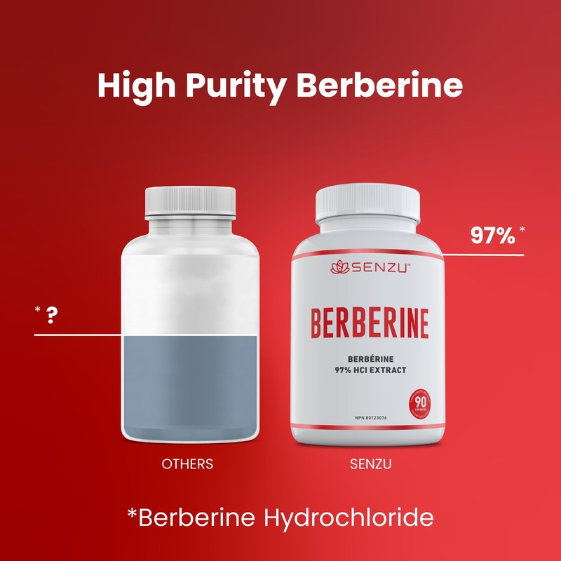 Ultra High Strength Berberine HCl - 97% Purity Extract Wild
