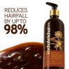 Indulekha Bringha Anti Hair Fall Shampoo (Hair Cleanser) 200ml, 6.76