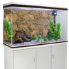 AWERT Stone Aquarium Background Rocky Fish Tank Background Rock Terrarium