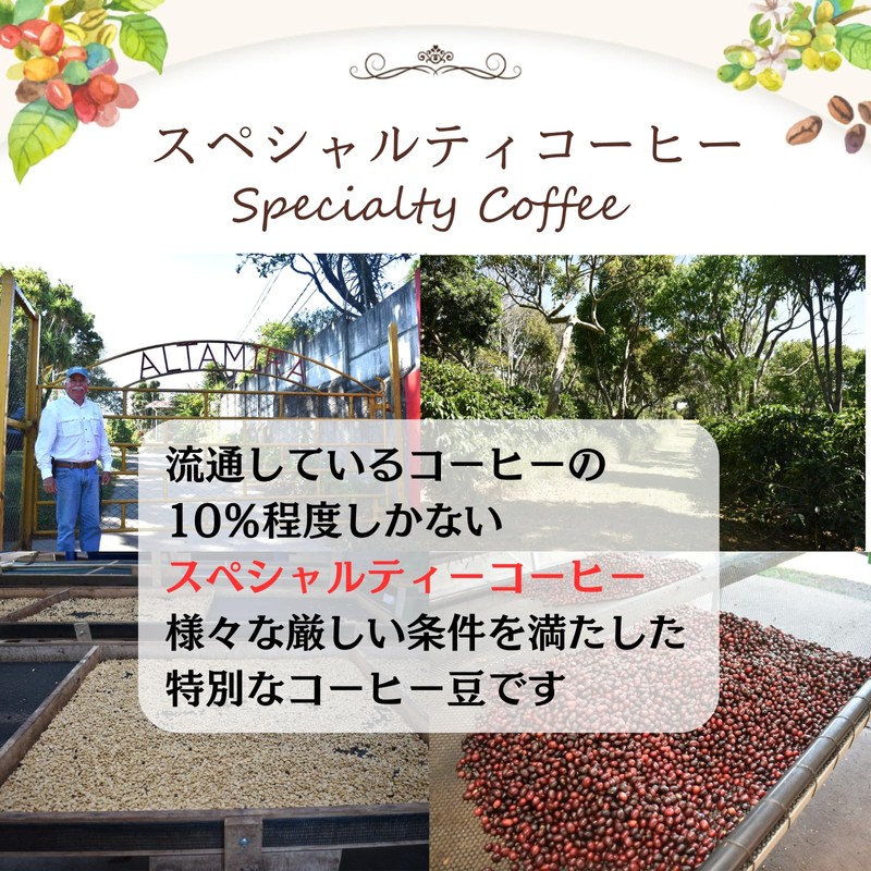 chill coffee Geisha Honey Costa Rica Premium Grade SHB Coffee