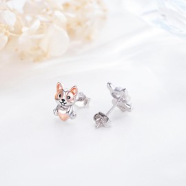 Dinosaur/Elephant/Butterfly/Raccoon/Butterfly/Snake/Guinea Pig/Duck/Otter Stud Earrings 925 Sterling Silver Dinosaur Earrings Dino Jewellery Gifts for Girls Women, Sterling Silver