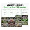 Shampoo Ts Shampoo Premium 500ml Anticaída Coreano