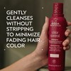Aveda Color Control Light Shampoo | Color Protection Shampoo |