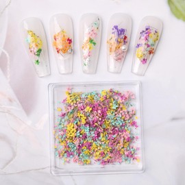 3D Dried Flowers for Nails, Spring Flower Nail Art Stickers 1Box Dried Flowers for Resin Crafts Colorful Small Natural Floral Dried Flower Decals for Summer Acrylic Nails Design Manicure Accessories