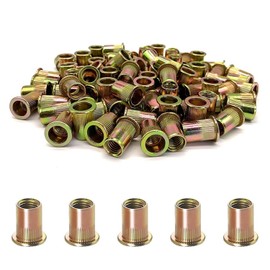 Galvanized Carbon Steel Hand Nut Nut Rivet Nut Hand Rivet Set Blind Nut Rivet Set Insert Rivet Tool Set of 20 (M10)