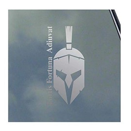 Fortis Fortuna Adiuvat Spartan Vinyl Sticker Decal Veteran Military Helmet