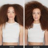 Paul Mitchell Awapuhi Champú, Equilibra la Hidratación y Aporta Brillo,