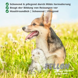 Fellon Ohrpflege für Hund & Katze - Ohrenreiniger gegen Ohrenschmalz, Juckreiz, Entzündung - natürlich & nachhaltig - Ohrenschutz, vorbeugend gegen Entzündungen, Katzenpflege - 100 ml Dosierflasche