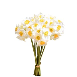 Mandy's 12 Stems White Silk Daffodils – Artificial Spring Centerpiece Flowers for Outdoor Garden, Porch, Wedding, Home Decor