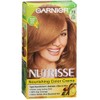 Nutrisse #73 Dk Golden Bl Size 1ct Nutrisse #73 Dark