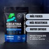 Creatina Monohidratada Micronizada 450g 90 Porciones Sin Sabor Amarte Labs