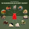 Nutrition Edge Nutrition Edge 12-in-1 Super Mushroom Gummies - Lion's