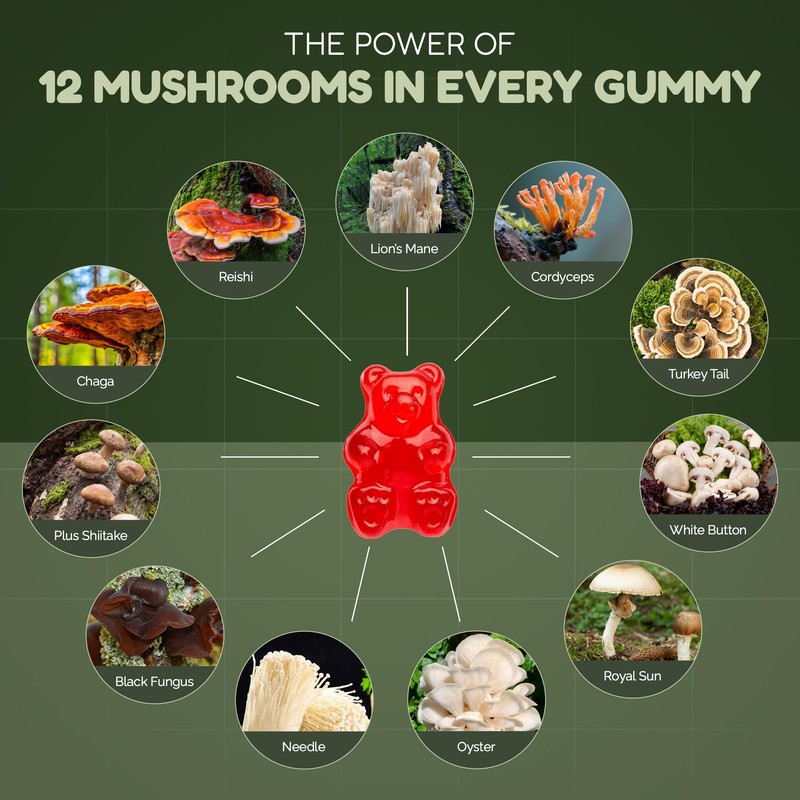 Nutrition Edge Nutrition Edge 12-in-1 Super Mushroom Gummies - Lion's