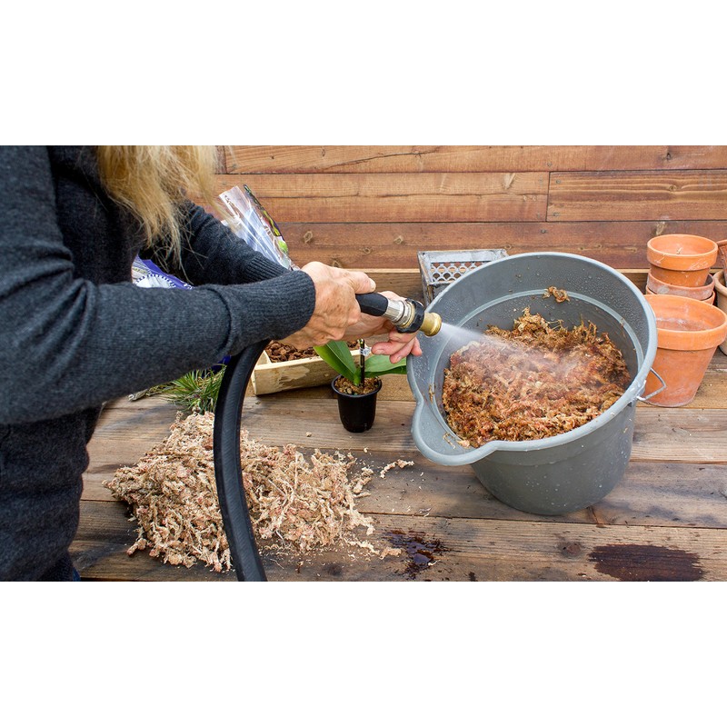 SuperMoss (22330) Orchid Sphagnum Moss Dried, Natural, 2.1lbs Small Bale