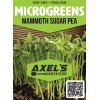 Axel's Garden Seeds Mammoth Snow Sugar Pea MICROGREEN Seeds |