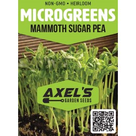 Axel's Garden Seeds Mammoth Snow Sugar Pea MICROGREEN Seeds | Non-GMO Heirloom | Seeds for Sprouting - 15 Seeds
