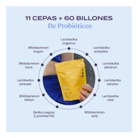 B-fit Plus Probio 11 Cepas 60 Cápsulas Probiotico Natural Sabor Sin sabor