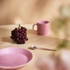 iittala Teema 1070343 Iittala Teema Plate, Diameter 8.3 inches (21