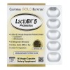 Lactobif Probiótico Cápsulas Salud Intestinal