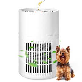 Blosssound Mini Air Purifier for Bedroom Small Room Pet Office Home with HEPA 3-in-1 Filter Fragrance Box White Portable Air Purifier Quiet Sleep for Desk Dorm Smoke Pet Dander Hair Dust Allergies